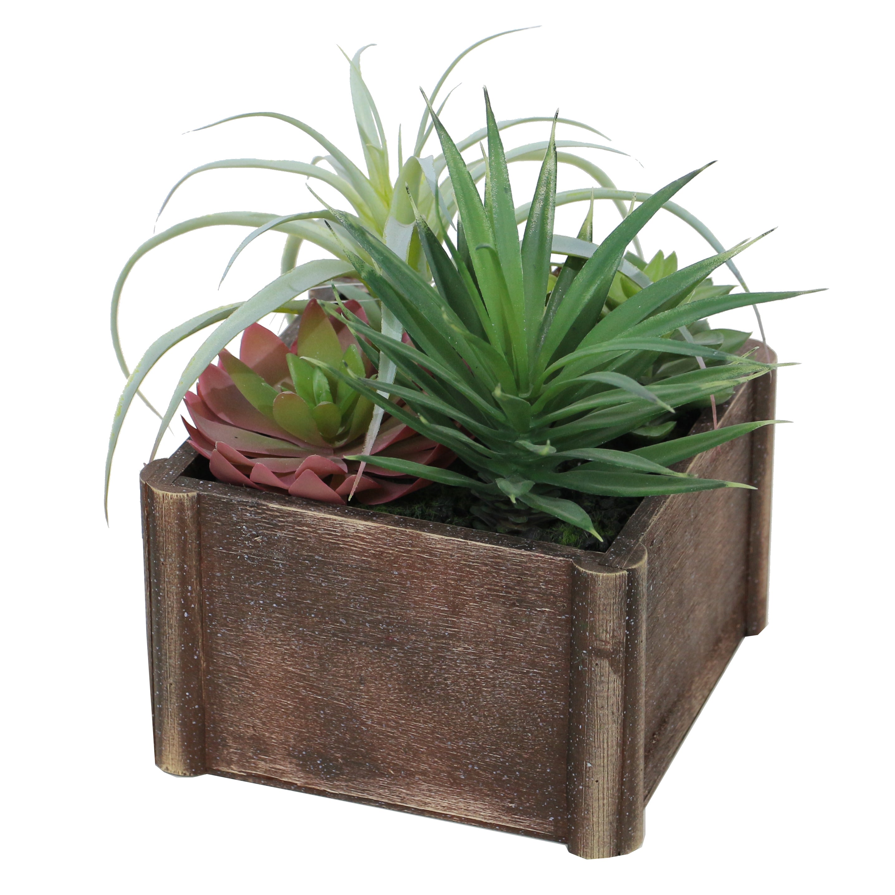 Desert Oasis Lifelike Plant in Rustic Wooden Pot