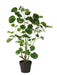 Classic Artificial Pocket Money Tree