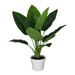 Classic Aureum Bonsai Faux Leaves Plant in White Pot