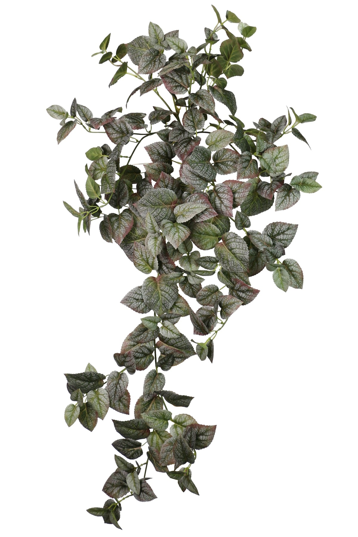 bush hanging plant Decorative Hanging Plant