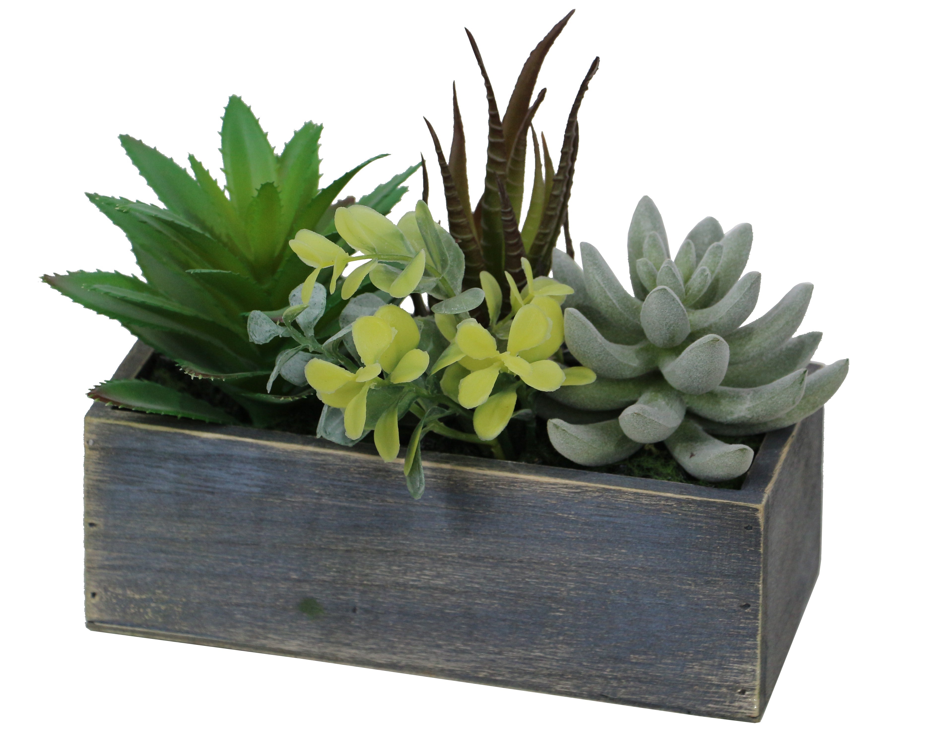 Desert Classic Lifelike Plant in Rustic Wooden Pot