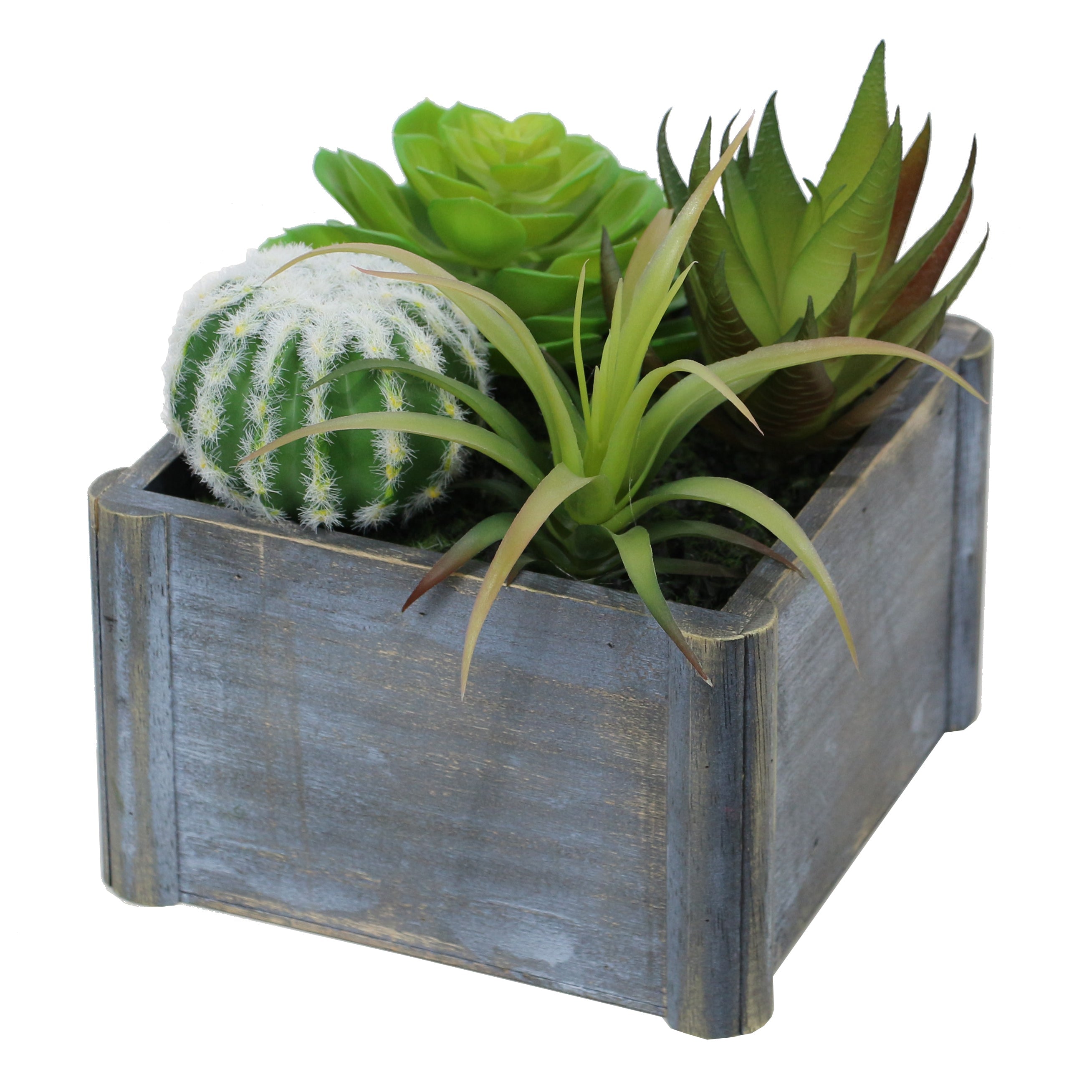 Desert Radiance Lifelike Plant in Rustic Wooden Pot