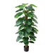 Extra-Large Artificial Dieffenbachia Bonsai - Grand Green Focal Point