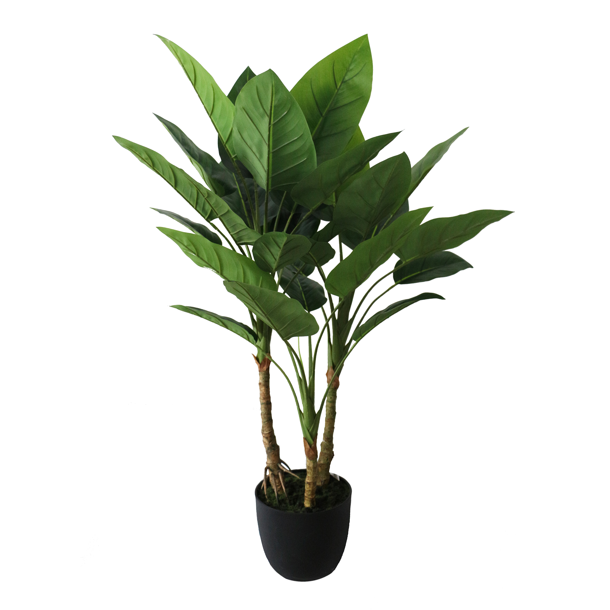 Large Aureum Bonsai Faux Leaves Plant in Plastic Pot