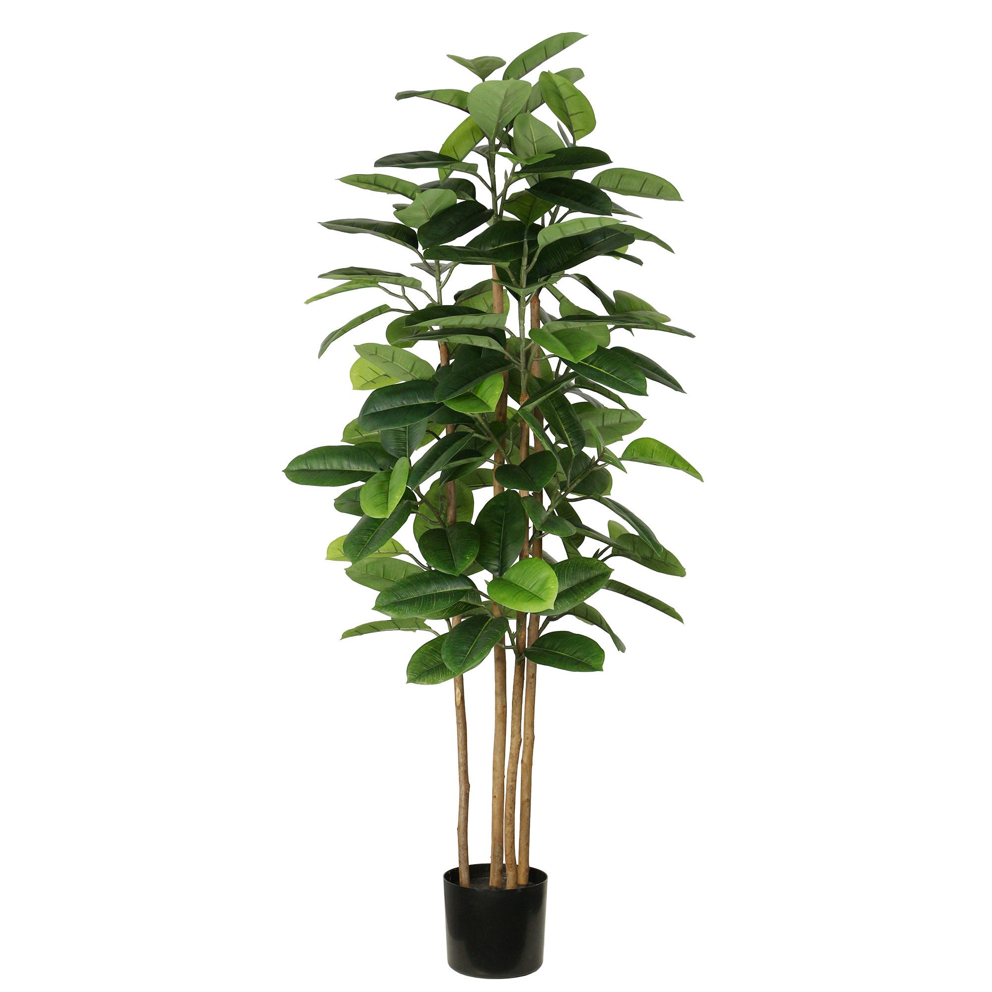 Large Artificial Rubber Ficus Tree