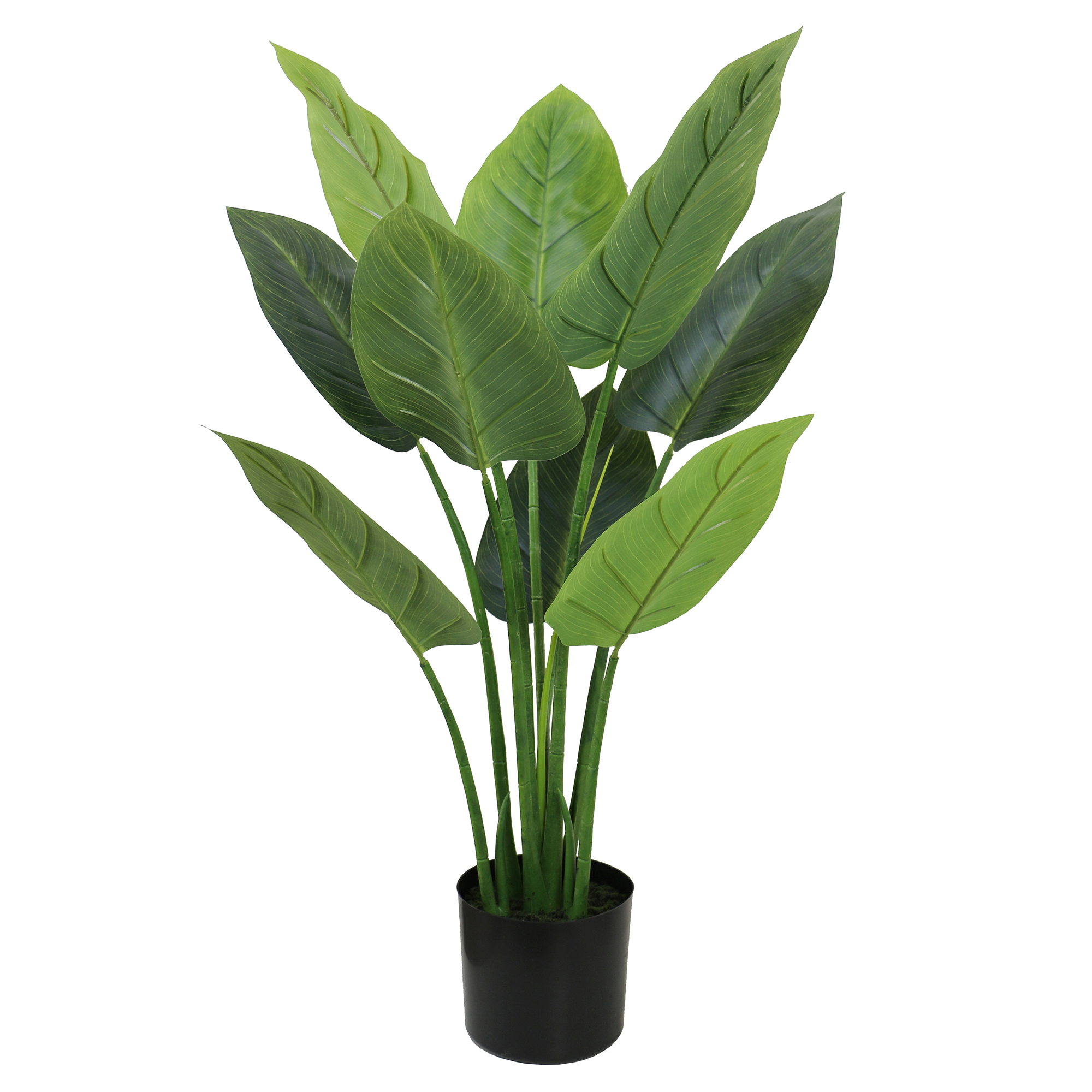 Medium Aureum Bonsai Faux Leaves Plant in Plastic Pot