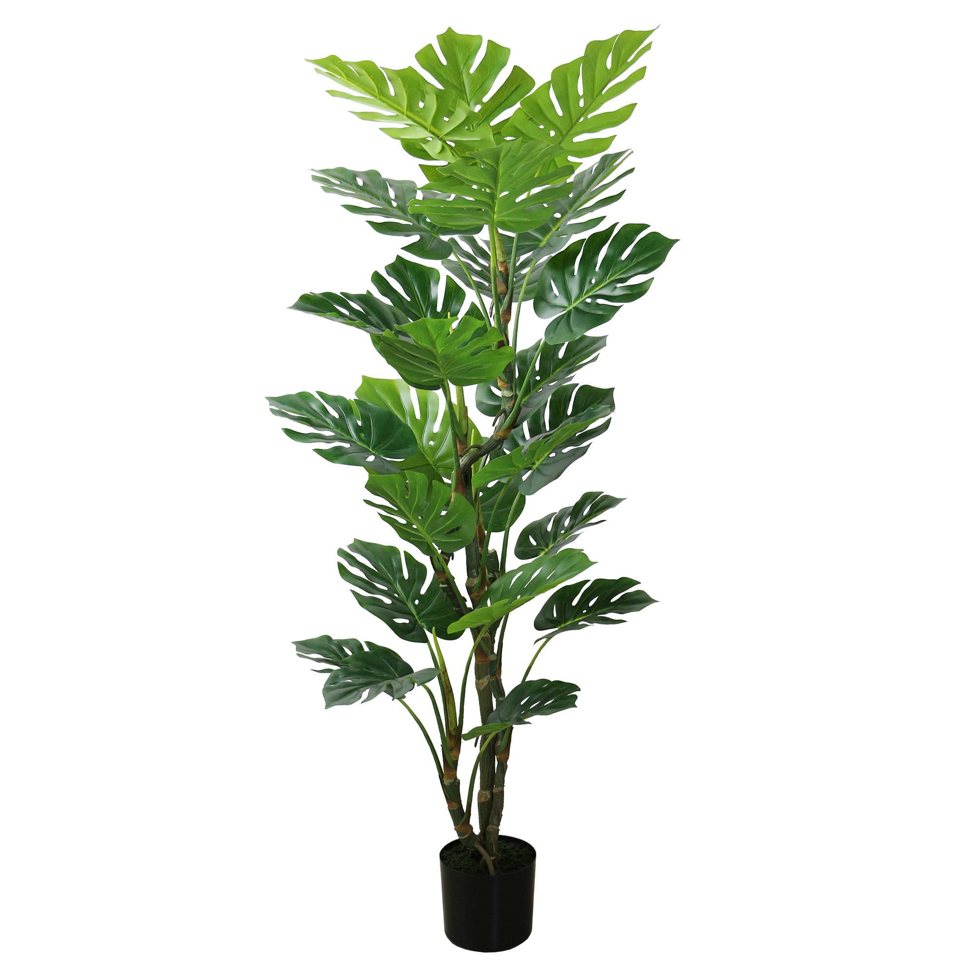 Lifelike Monstera Bonsai Leaves Tree Plant - Tall