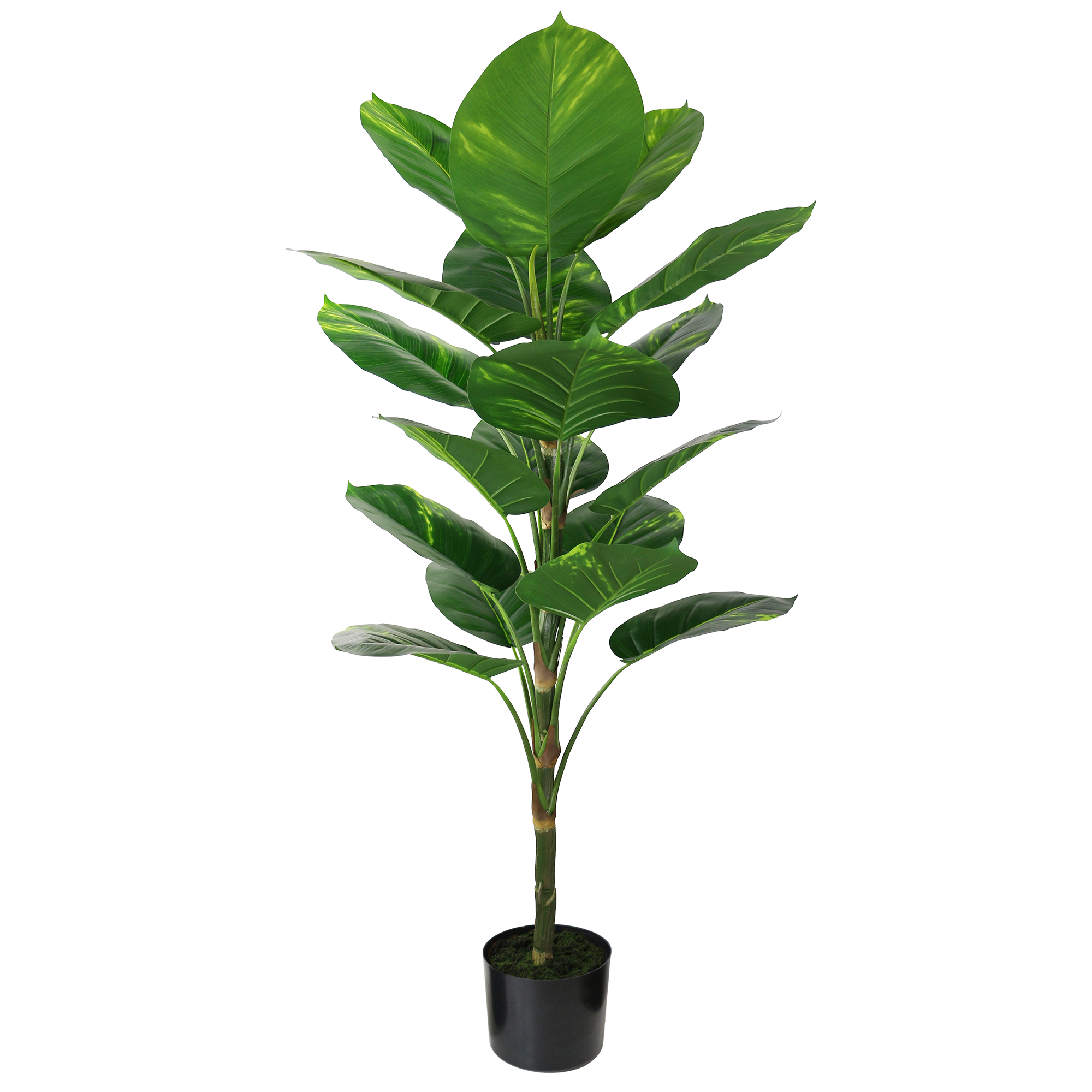 Medium Artificial Dieffenbachia Bonsai - Classic Home Decor