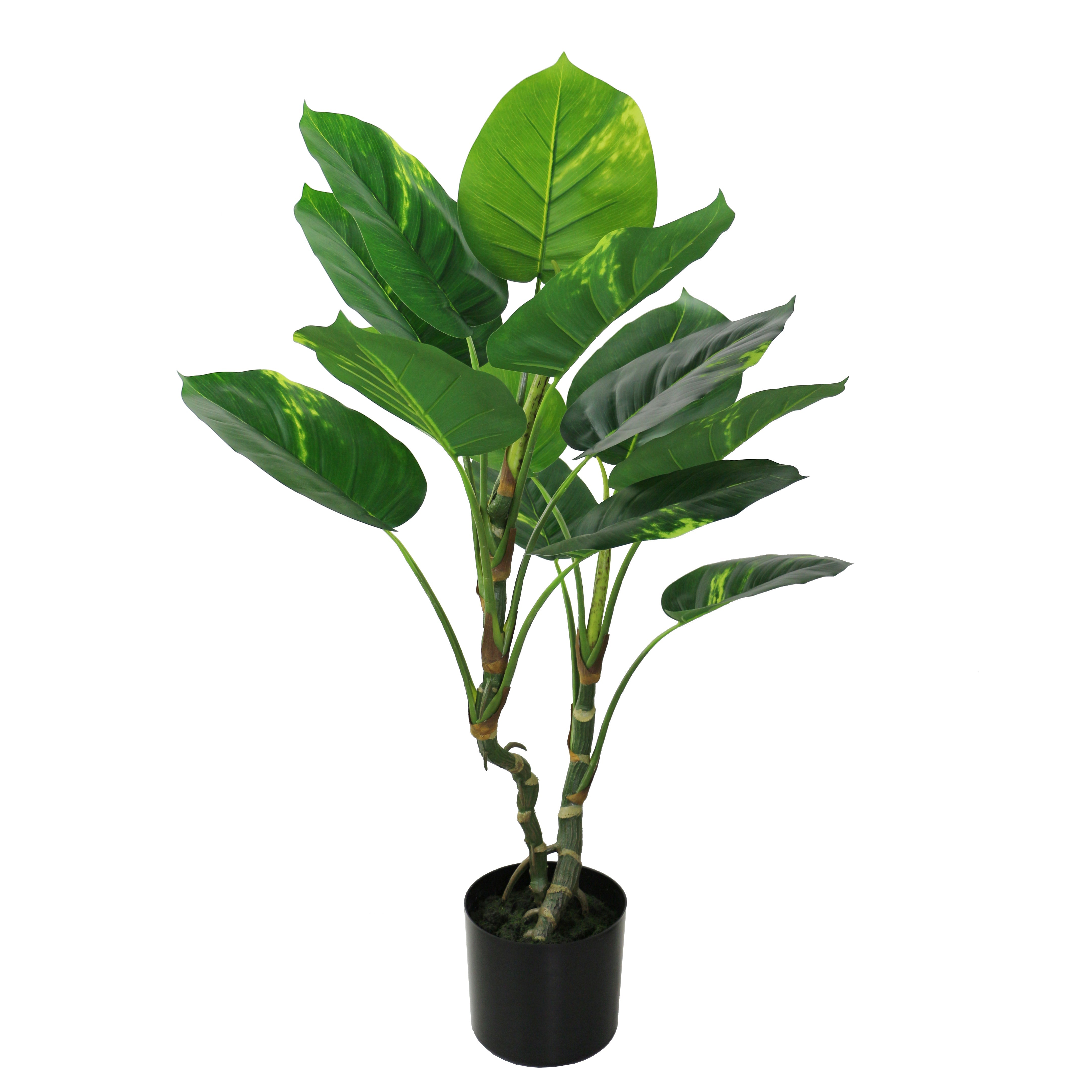 Small Artificial Dieffenbachia Bonsai - Greenery Accent