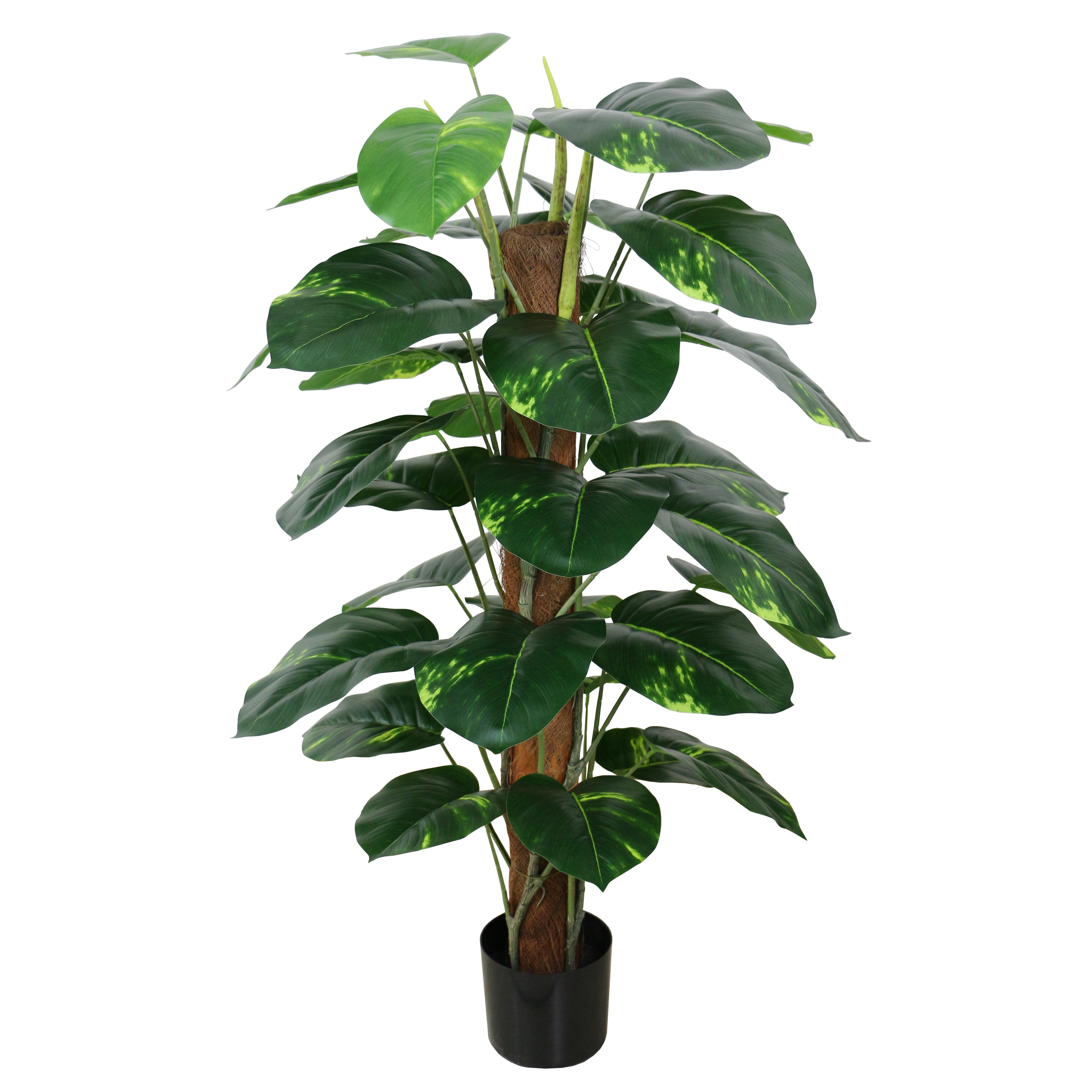 Large Artificial Dieffenbachia Bonsai - Statement Piece for Any Space