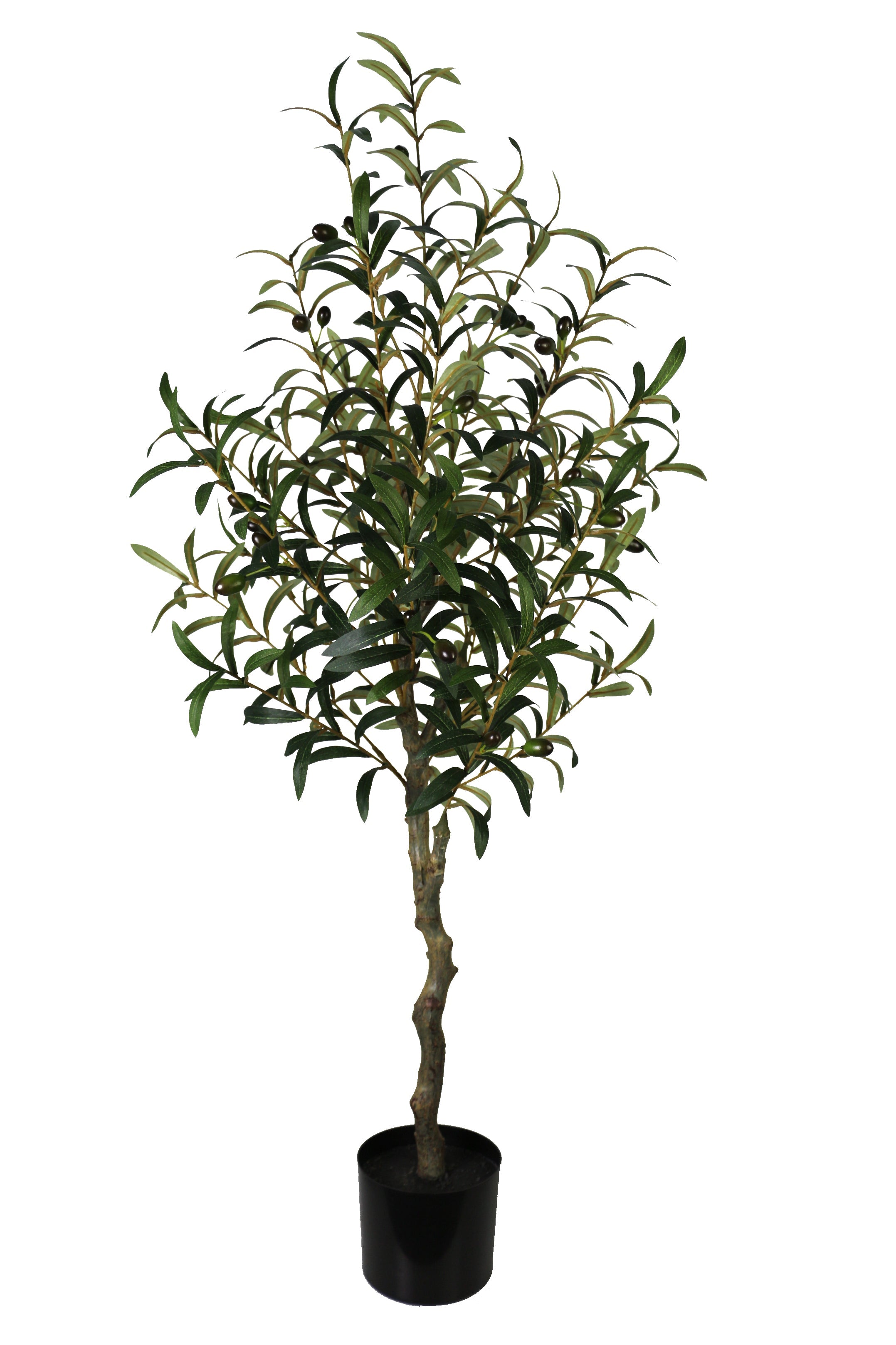 Large Lifelike Olive Tree
