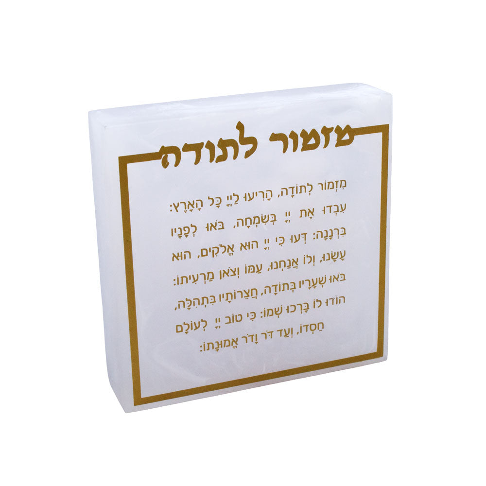Resin Snow Drift Mizmor Lesodah Block