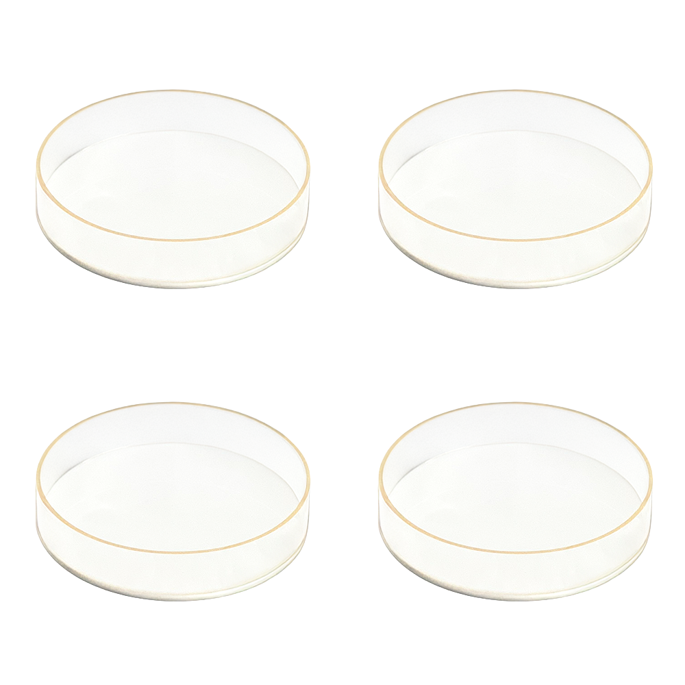 Lucite White & Gold Dessert Plates 4pk