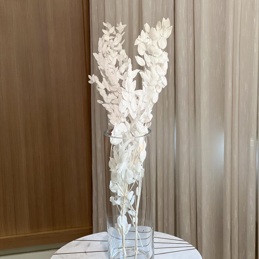 Slim Eucalyptus