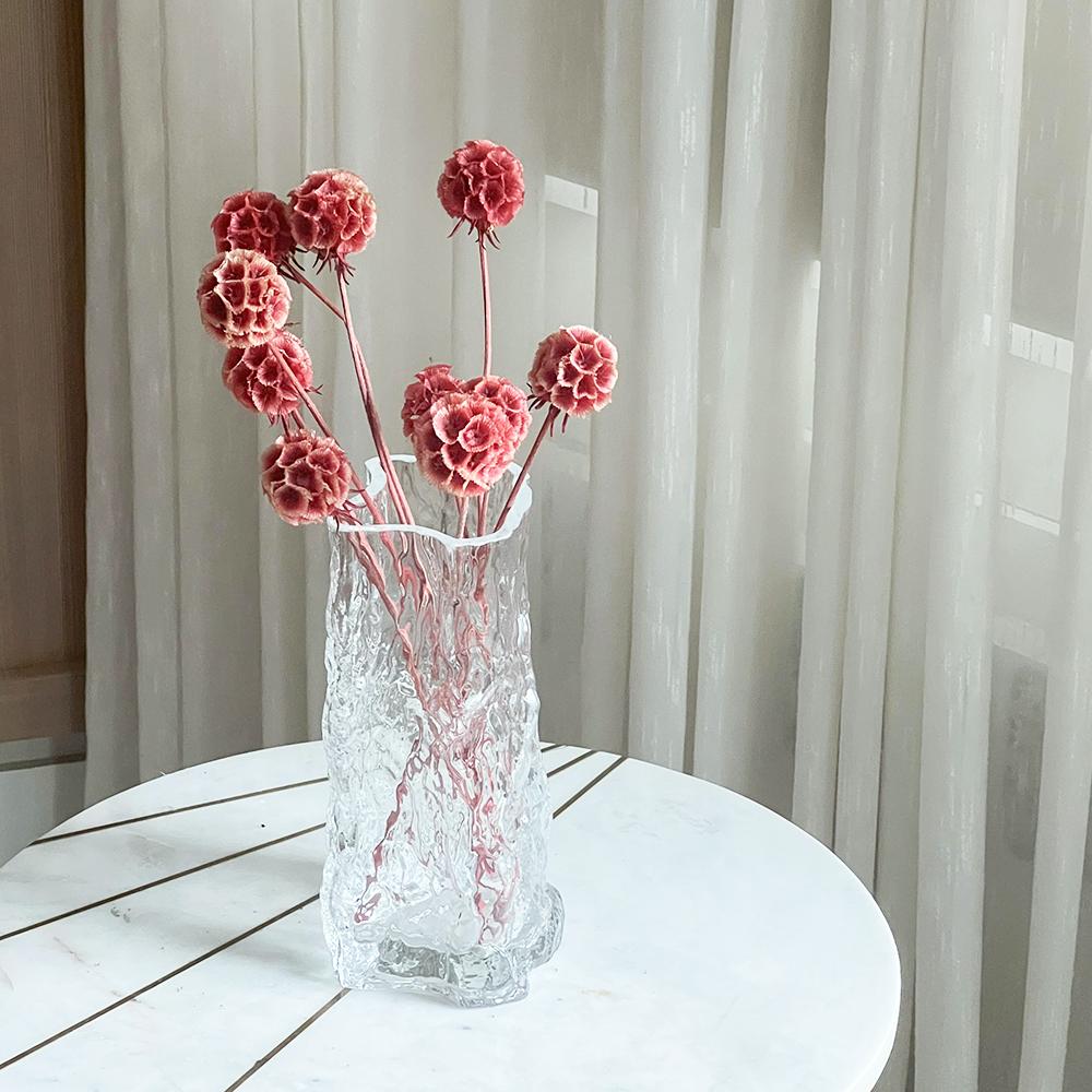 Scabiosa Flower