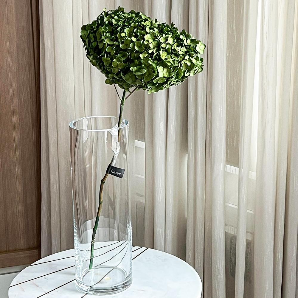Single Anna Hydrangea