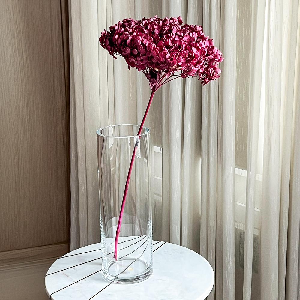 Single Anna Hydrangea