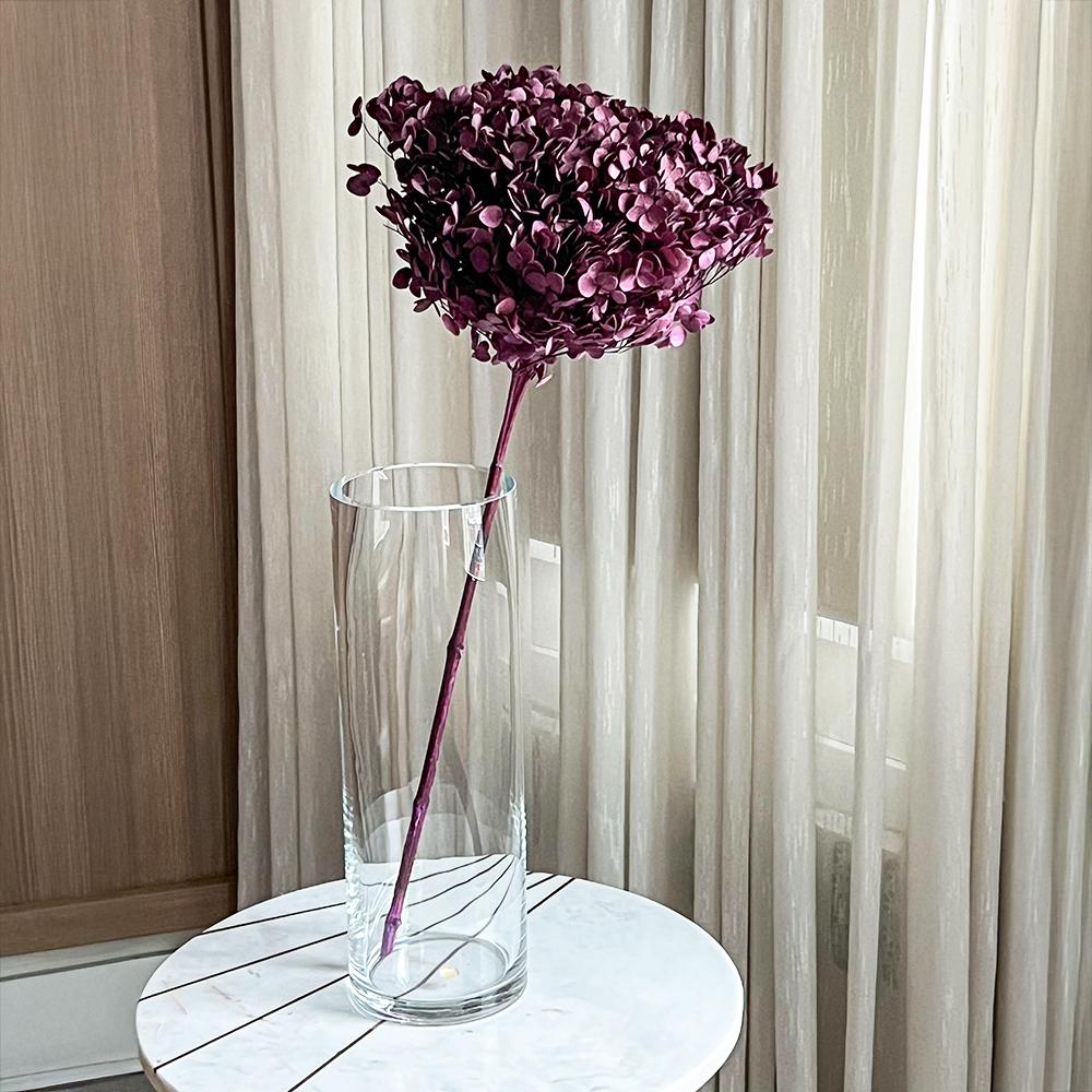 Single Anna Hydrangea