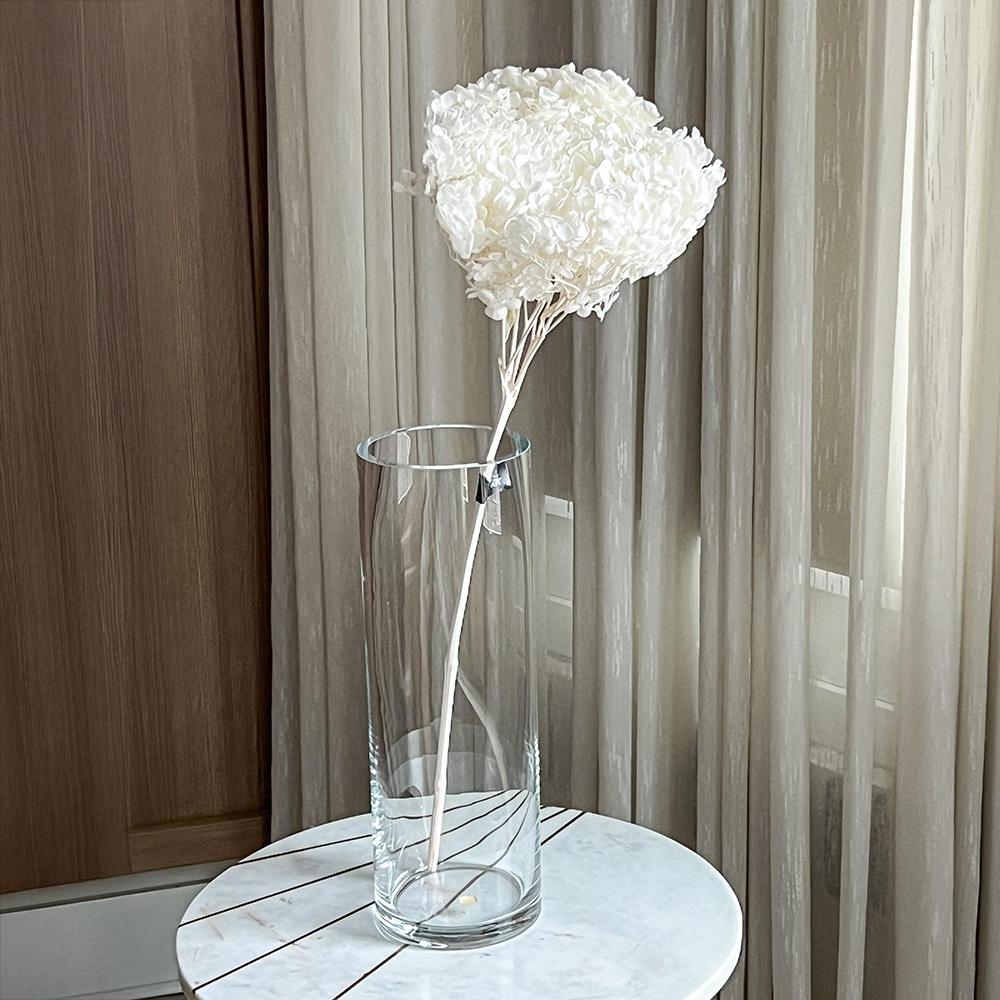 Single Anna Hydrangea