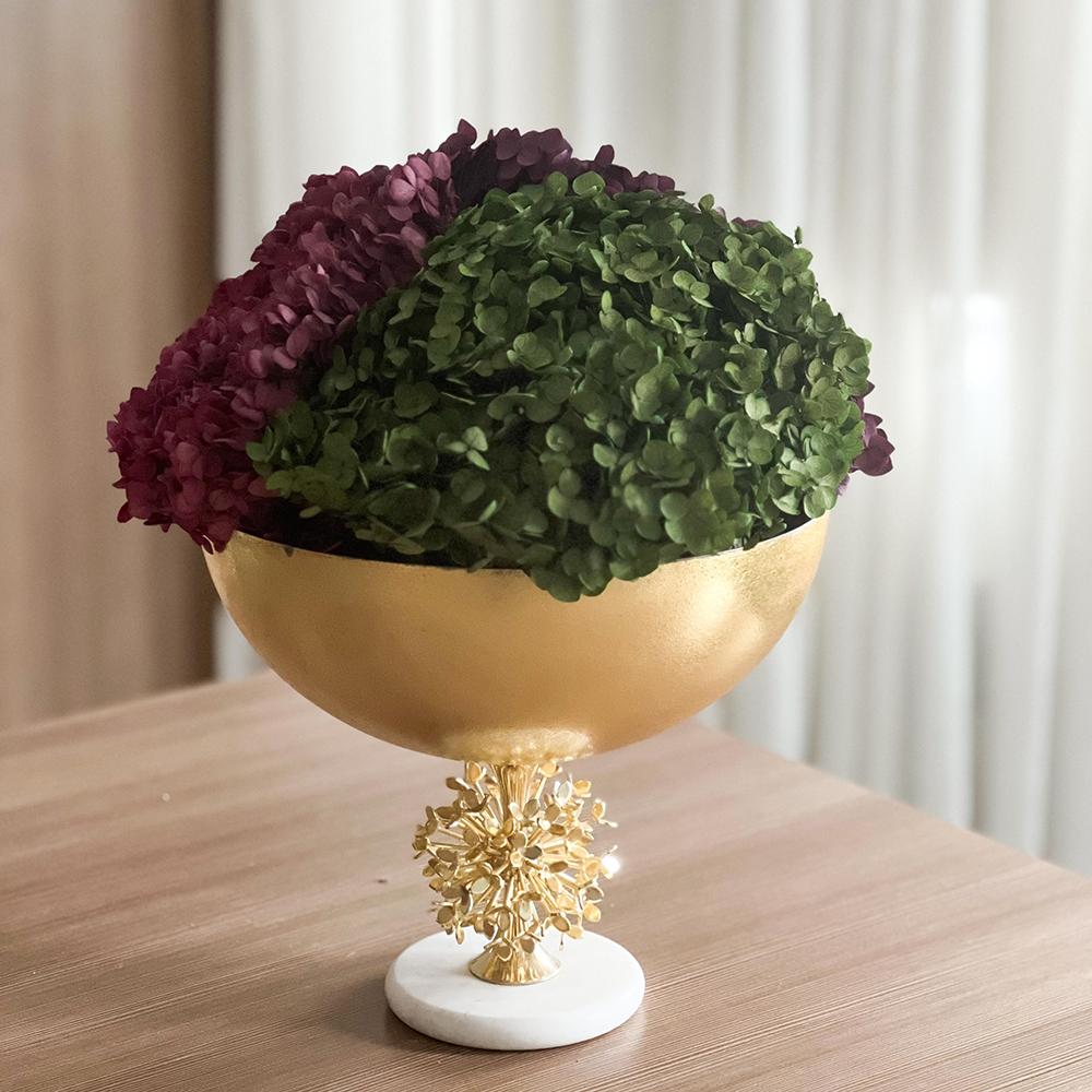 Single Anna Hydrangea