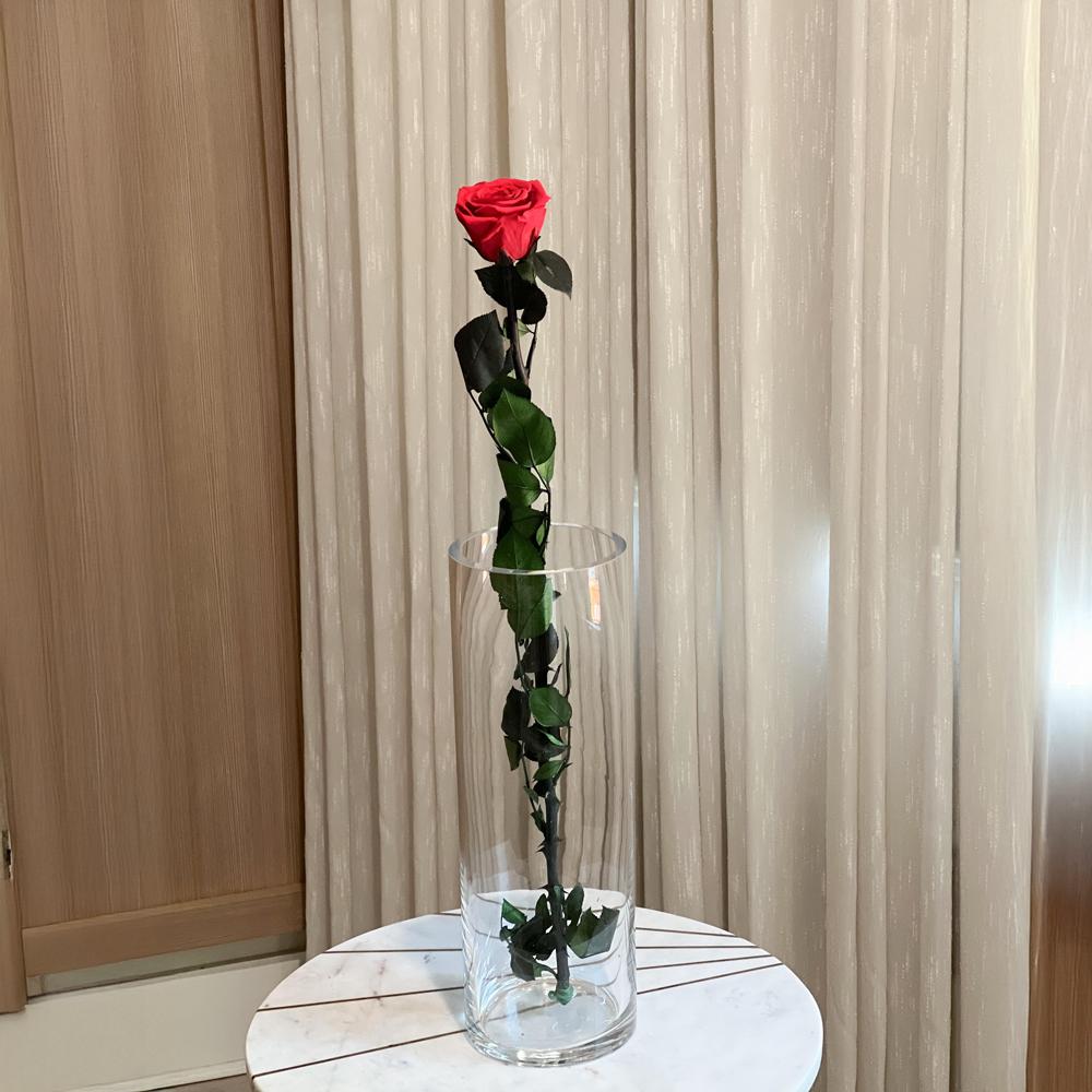 Long Stem Rose