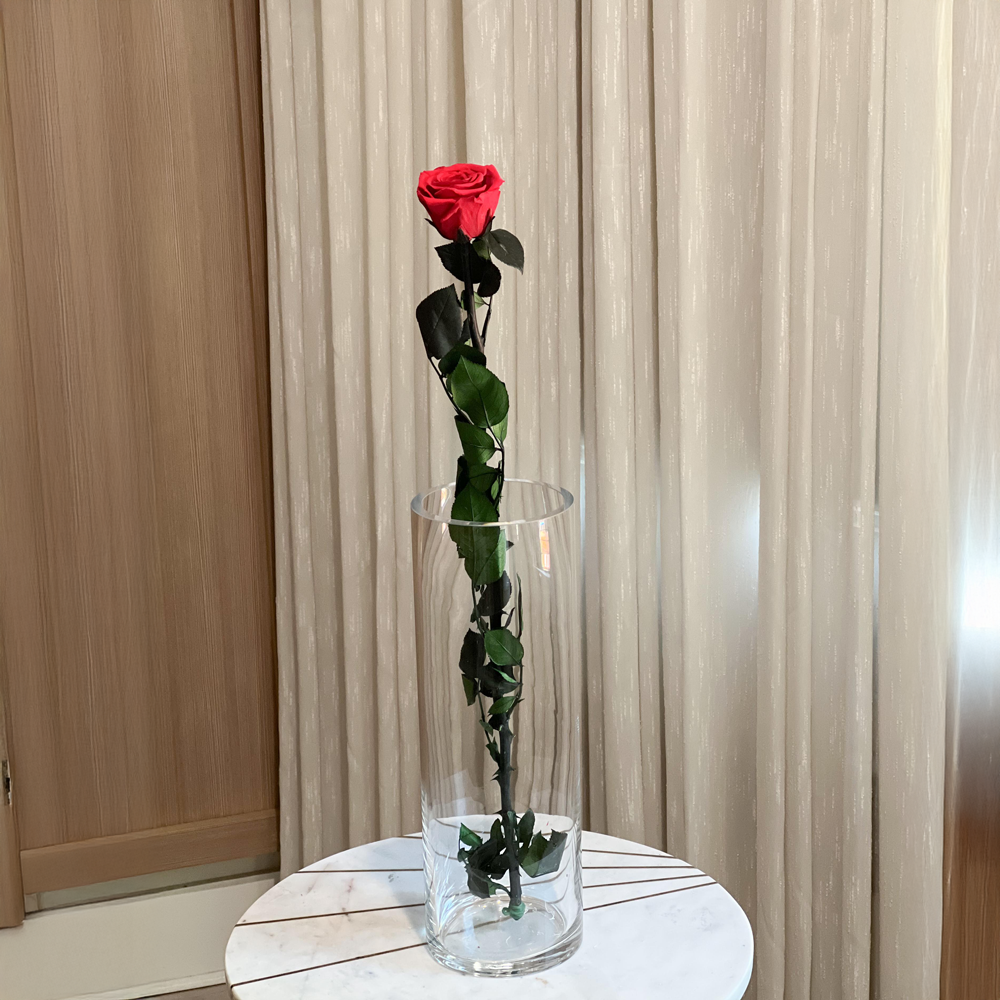 Long Stem Rose