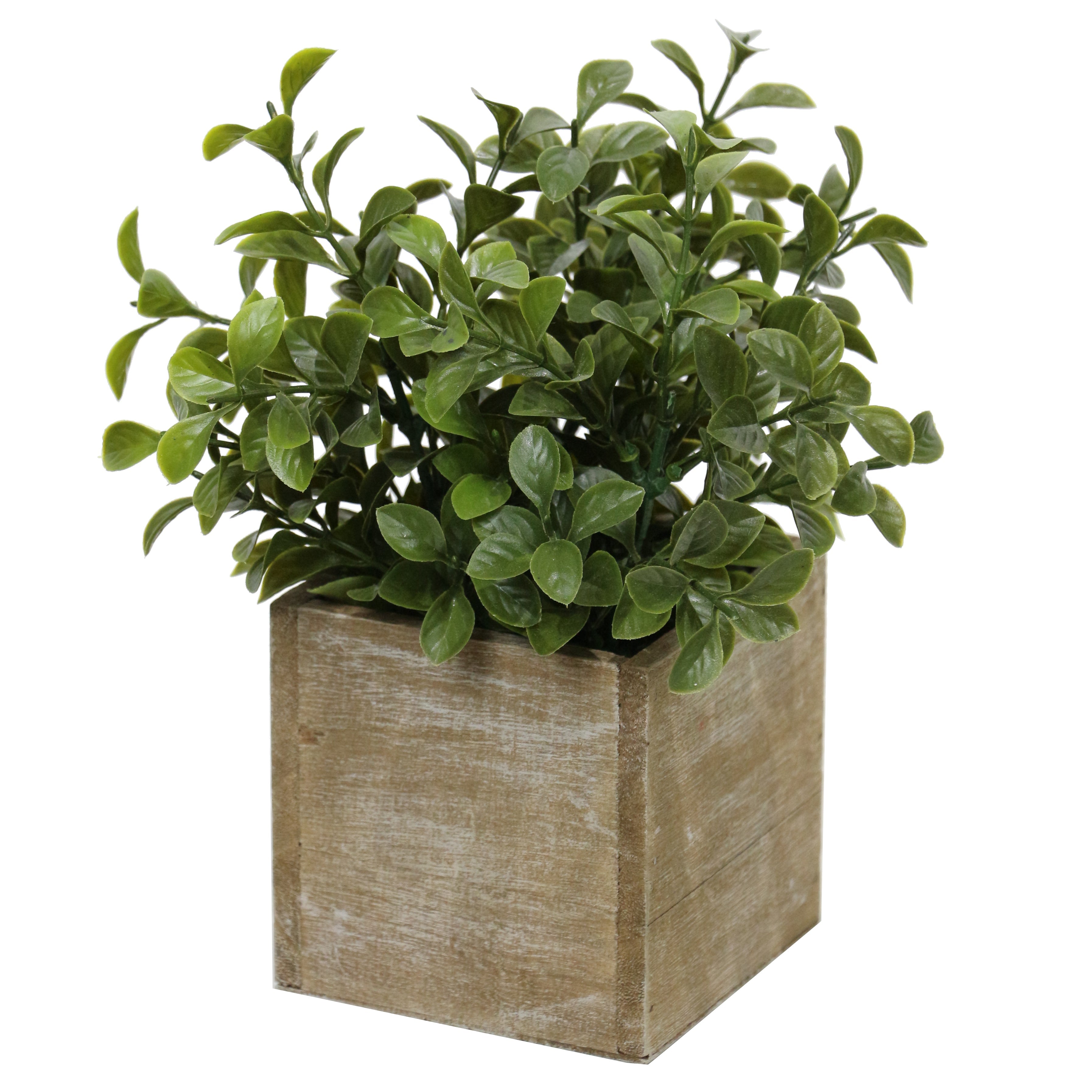 Leafy Lifelike Plant in Rustic Wooden Pot