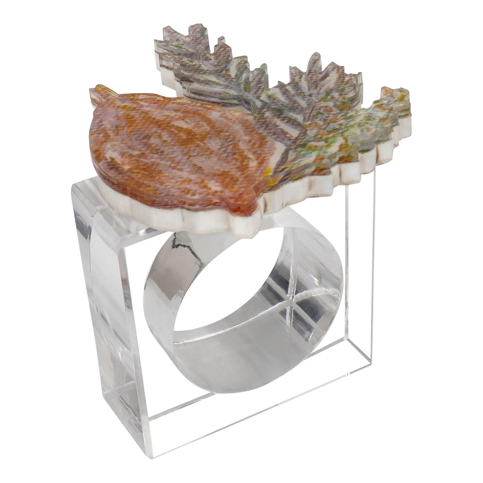 Lucite Yom Tov Napkin Ring Set