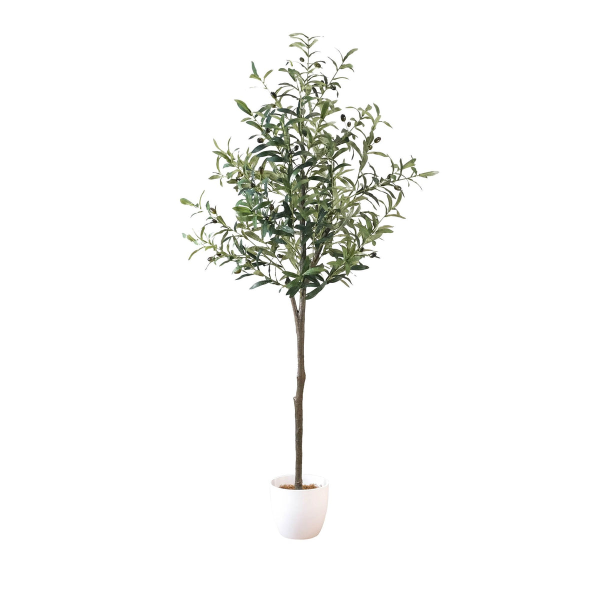 Majestic LIfelike Olive Tree