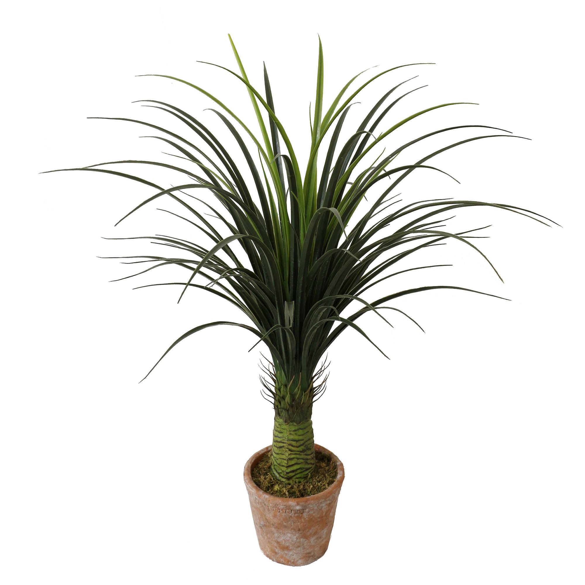 Medium Artificial Dracaena Tree - Classic Home Decor