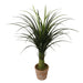 Medium Artificial Dracaena Tree - Classic Home Decor