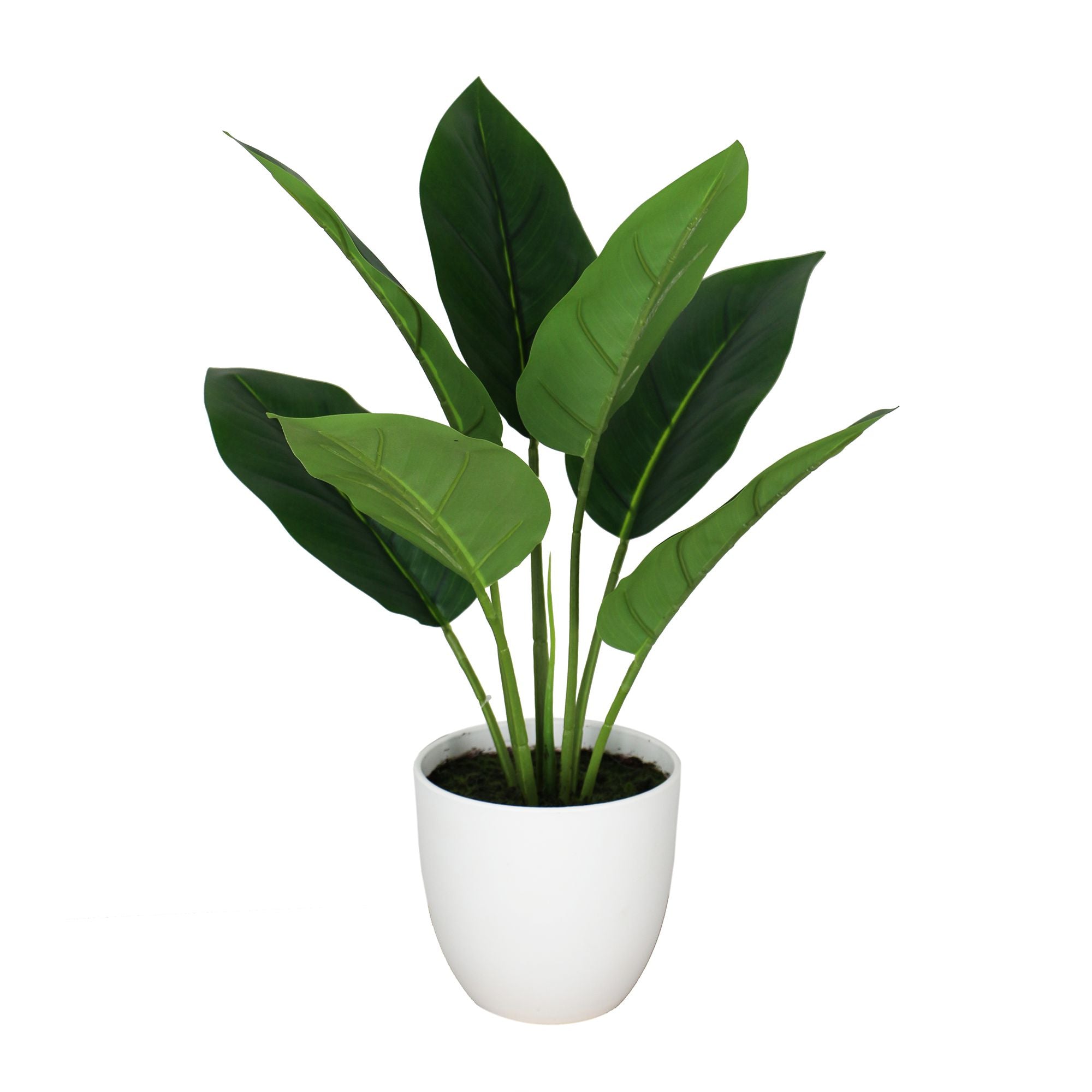 Petite Aureum Bonsai Faux Leaves Plant in White Pot