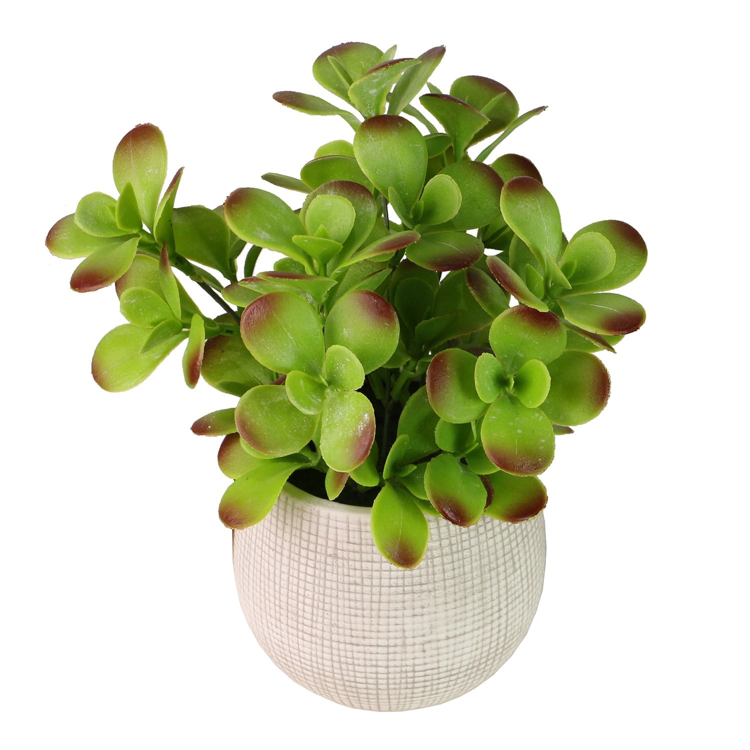 faux potted jade plant Red-Tinged Faux Green Leaves Potted Plant — BT Shalom