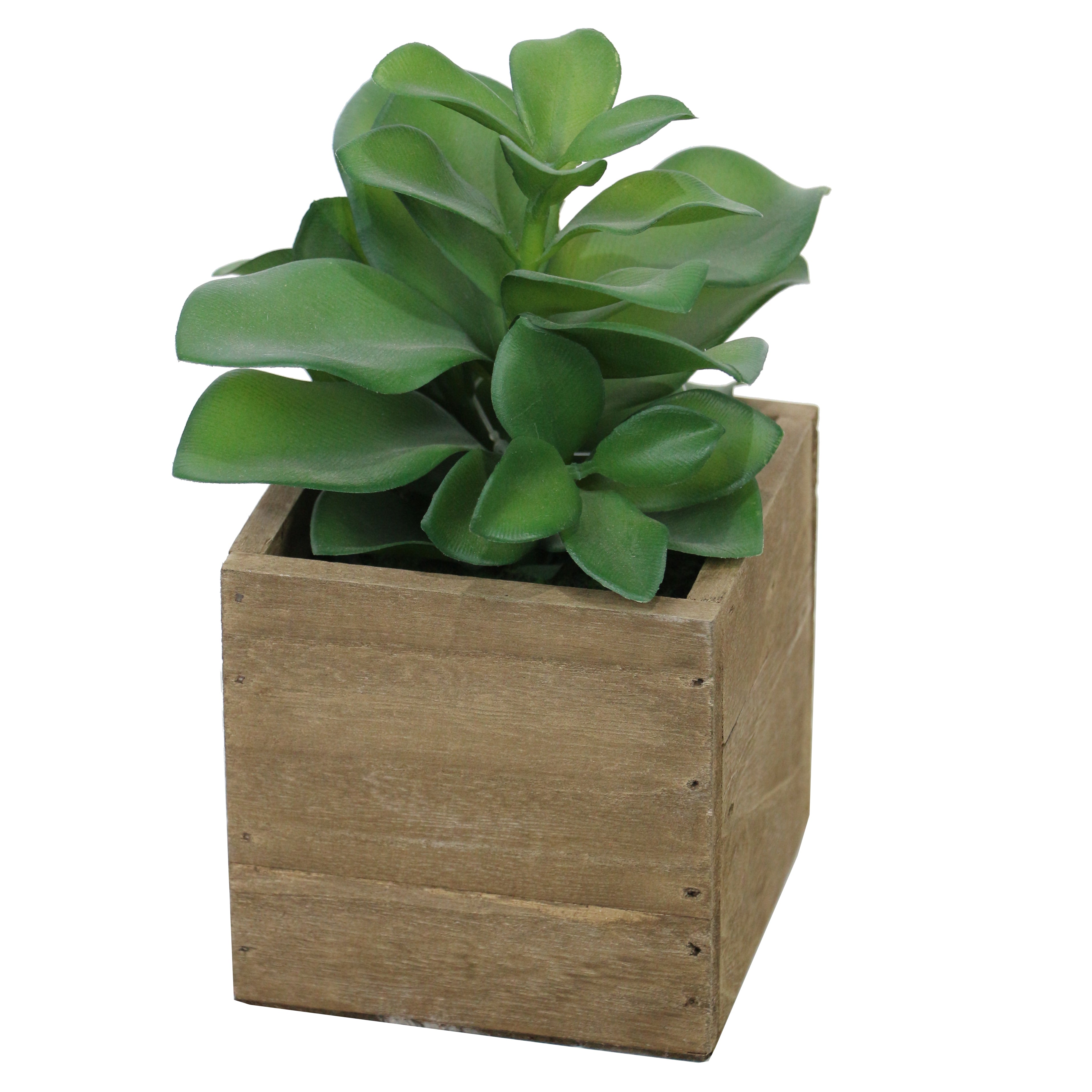 Bold Lifelike Plant in Rustic Wooden Pot