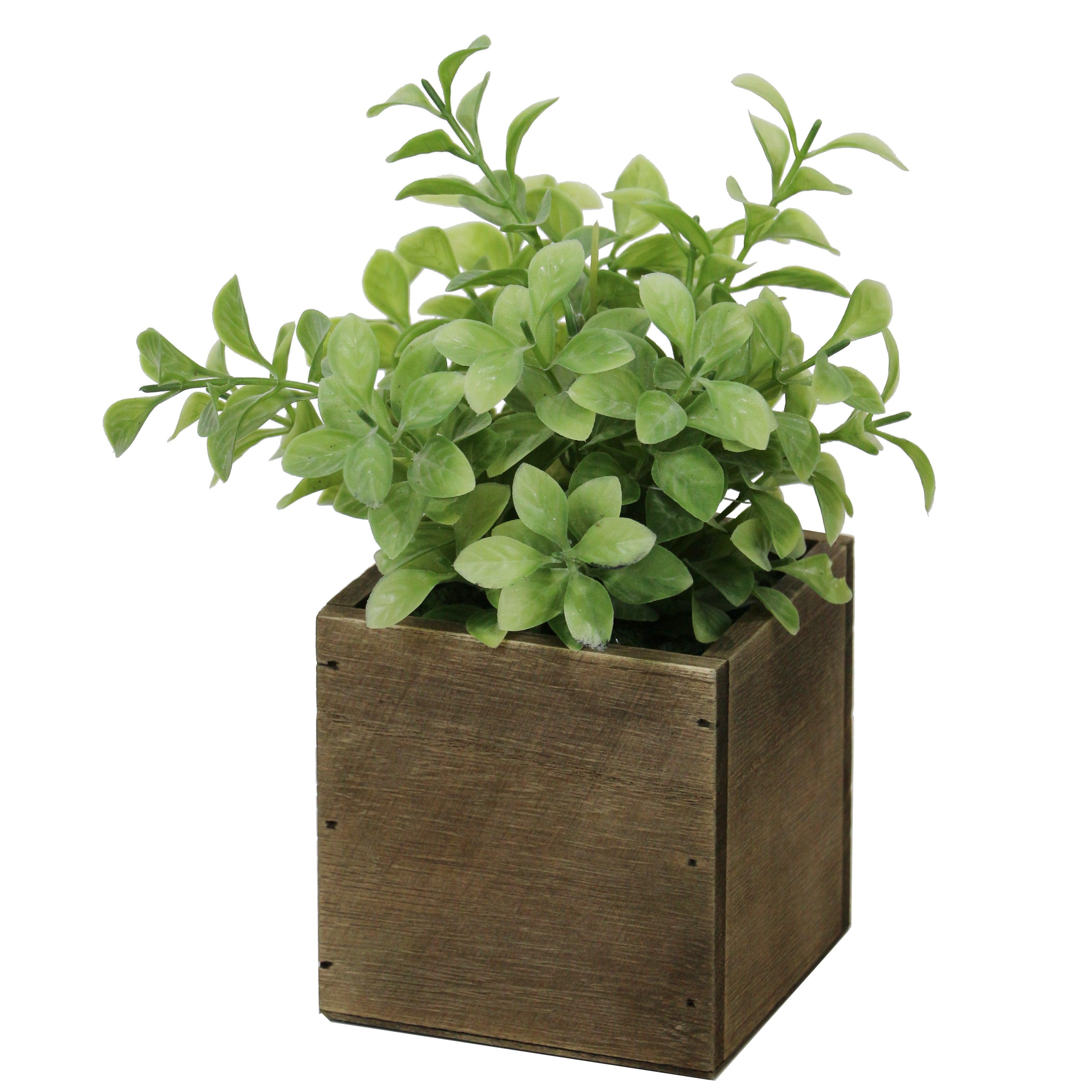 Floret Lifelike Plant in Rustic Wooden Pot