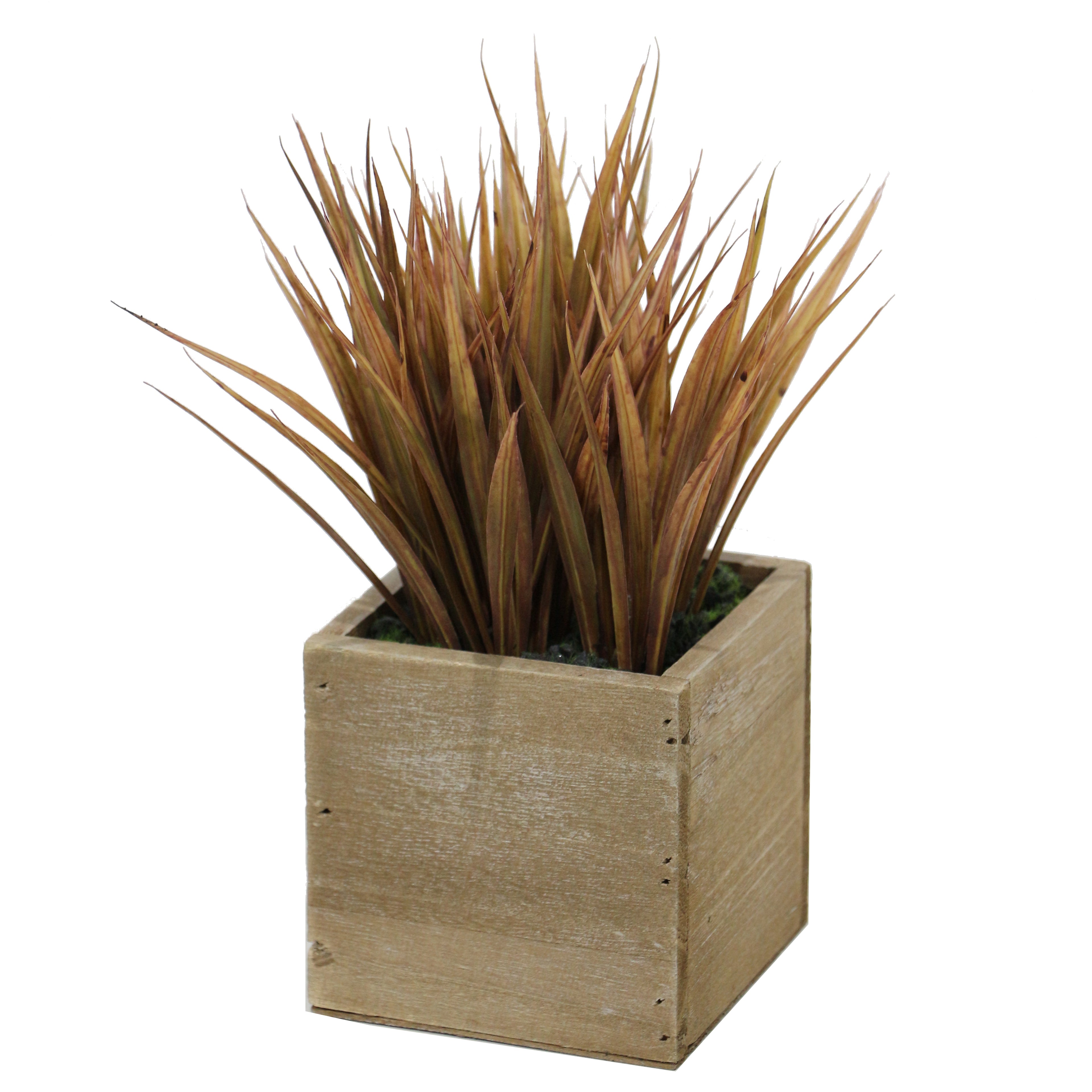 Charms Lifelike Plant in Rustic Wooden Pot