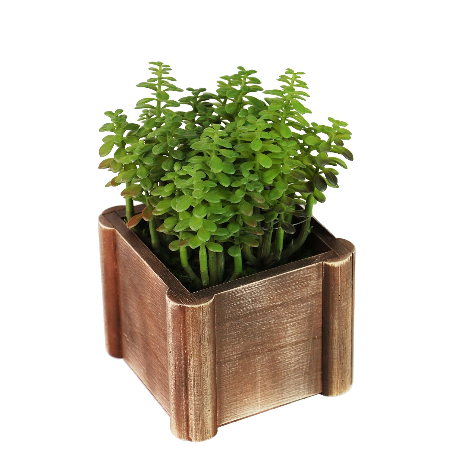 Blossom Lifelike Plant in Rustic Wooden Pot