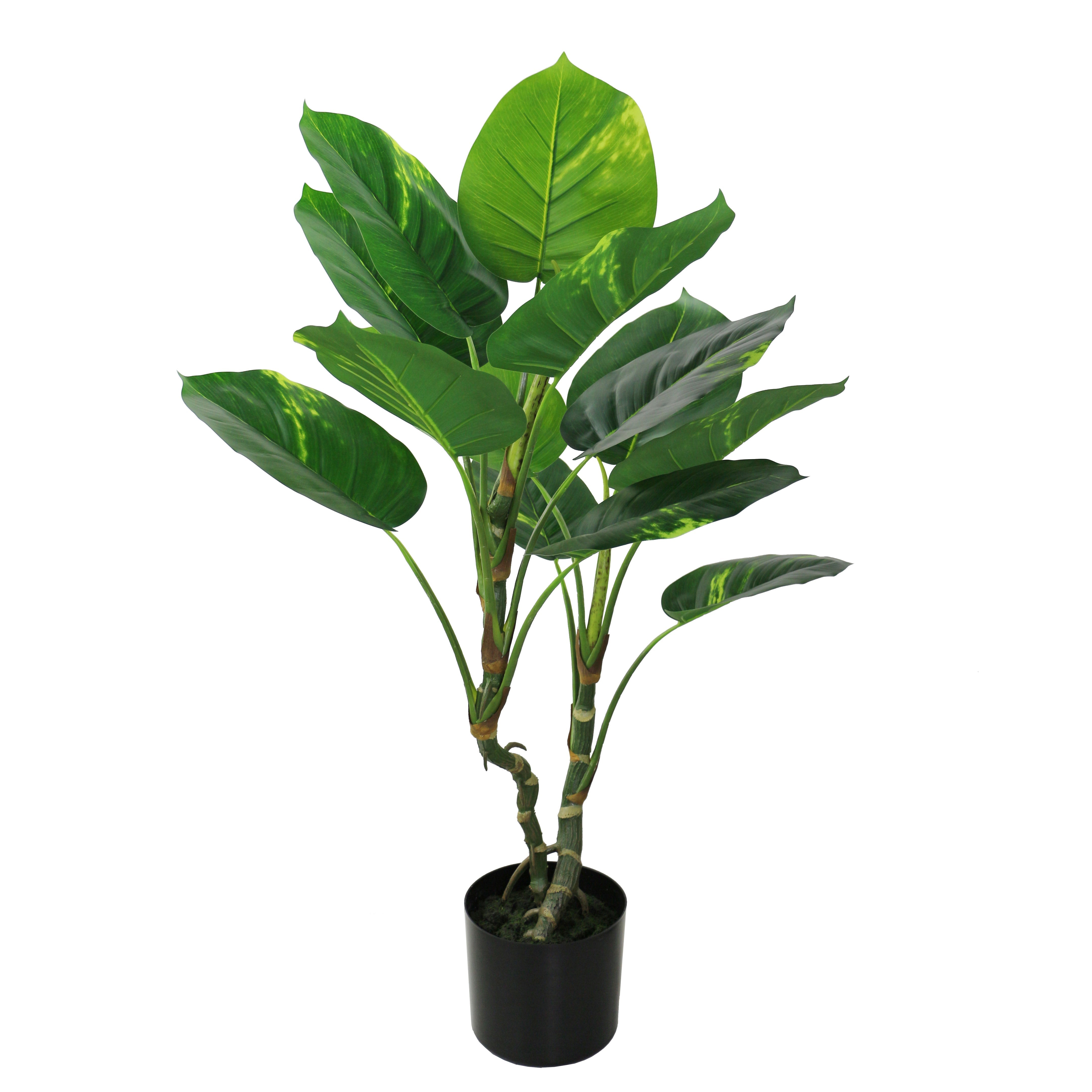 fake dieffenbachia Small Artificial Dieffenbachia Bonsai