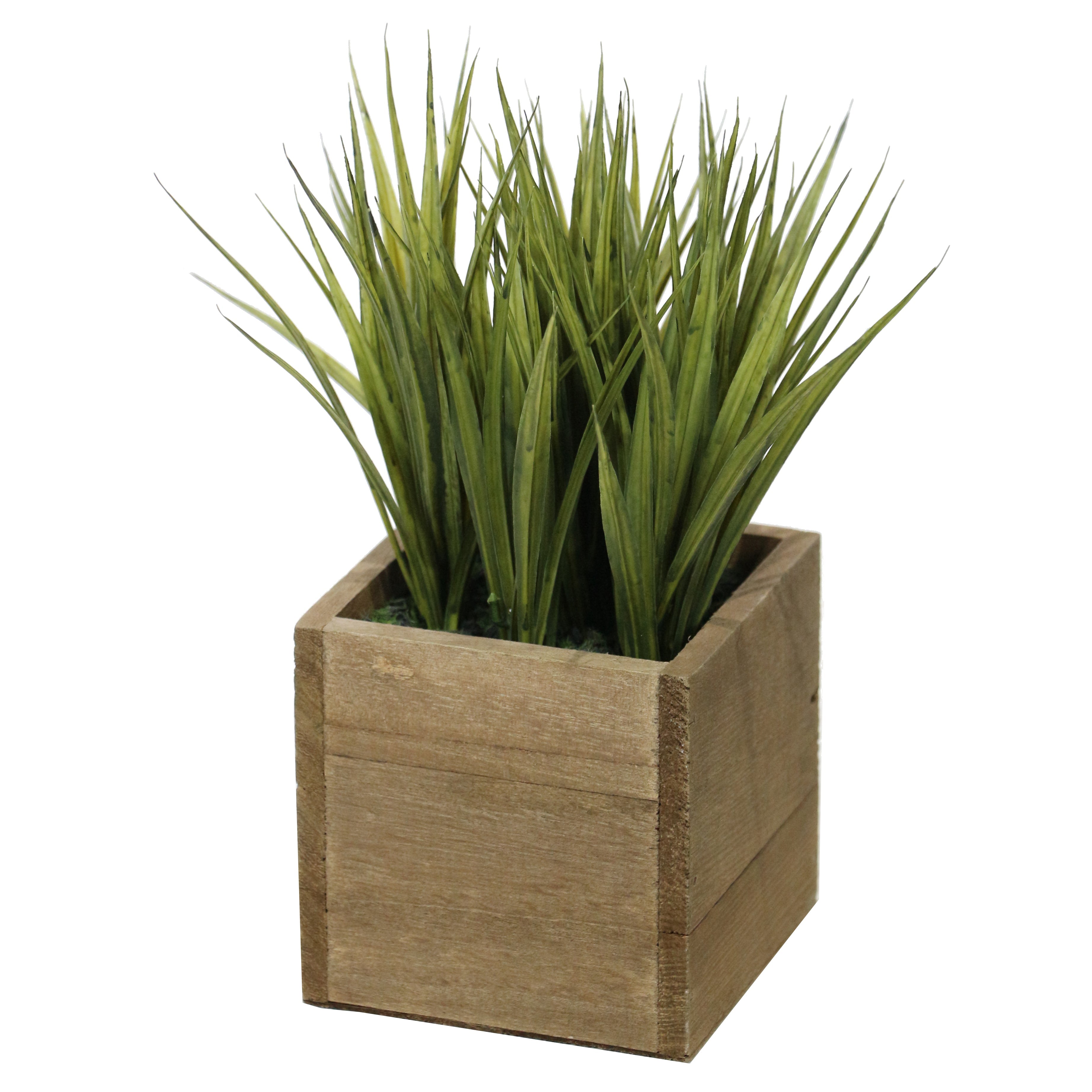 Wisps Lifelike Plant in Rustic Wooden Pot