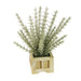 Zenith Lifelike Plant in Rustic Wooden Pot