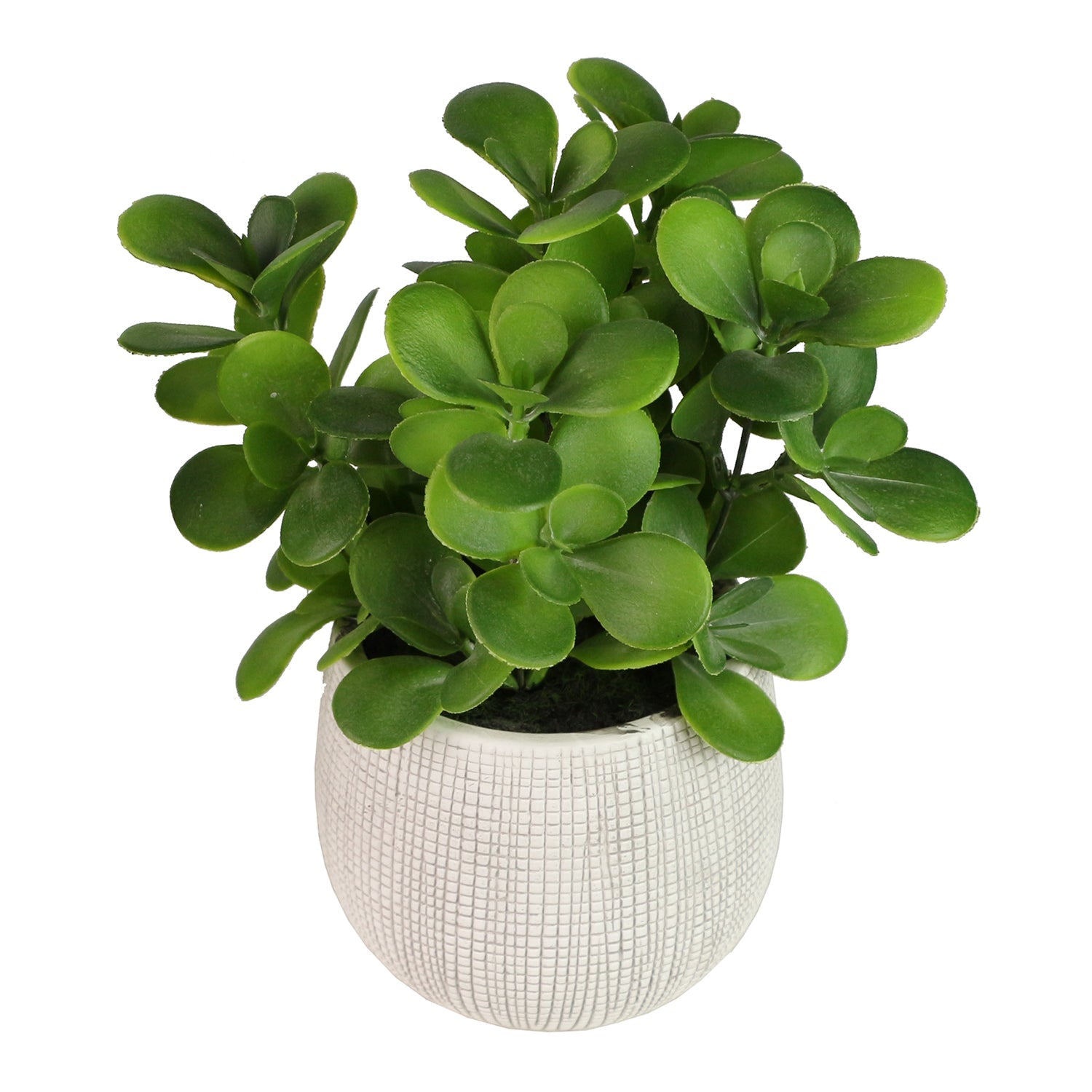 Faux Green Leaves Potted Plant